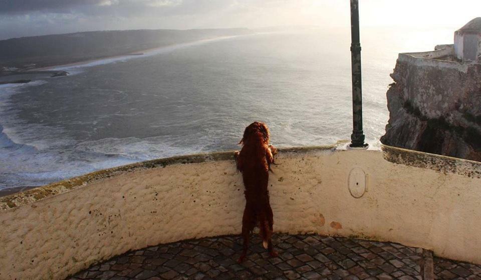 Nazare - The Little Star Villa Екстериор снимка